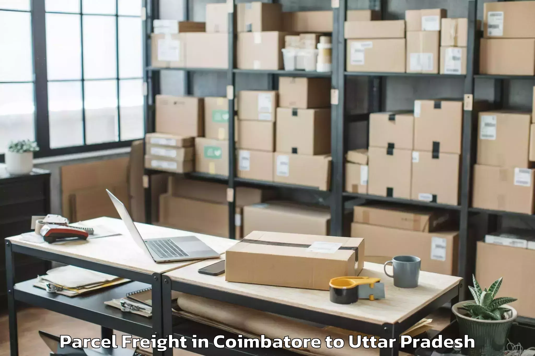 Top Coimbatore to Maharishi University Lucknow Parcel Freight Available